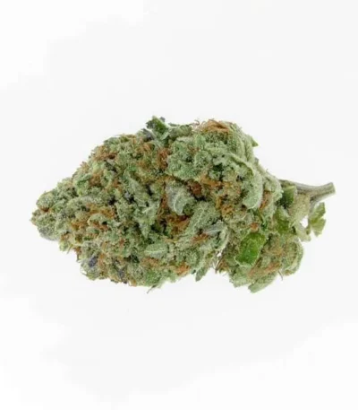 Alien OG