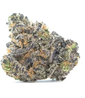 Apple Fritter