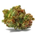 Girl Scout Cookies